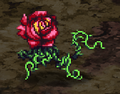 RS3 Rose Spider.png