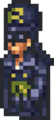 RS3 Robin Sprite2.png
