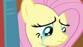 Cry fluttershy.png
